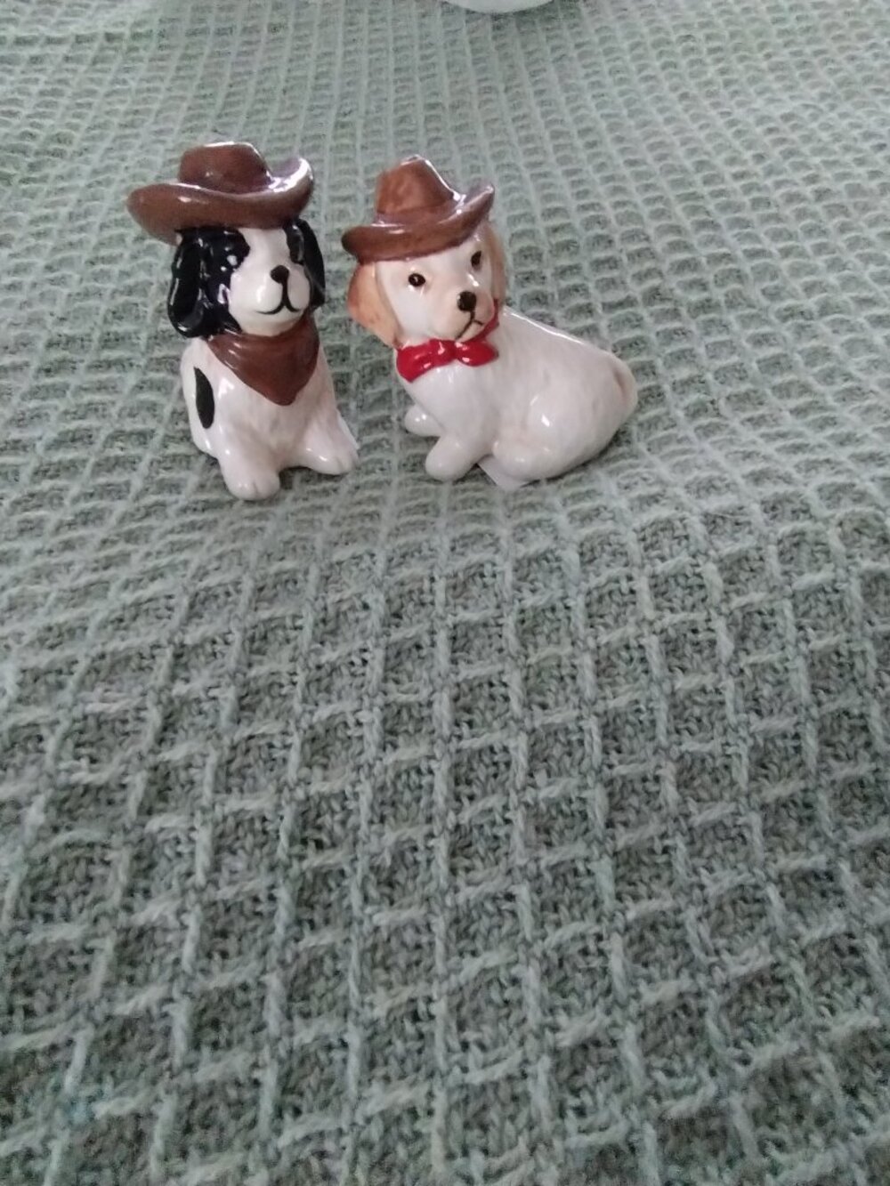 Salt & pepper shaker set- Cowboy dogs